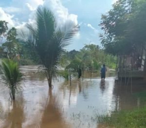 Sungai Teweh Meluap, Debit Air di Gunung Purei Terus Naik