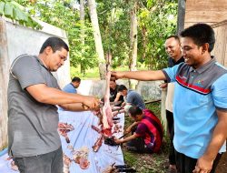 PGRI Aceh Besar Sembelih Hewan Qurban, 5 Ekor Sapi dan 3 Ekor Kambing Disalurkan bagi Guru Honor