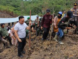 Bupati Mura Bersama Gubernur Kalteng Laksanakan Penanaman Padi Gogo
