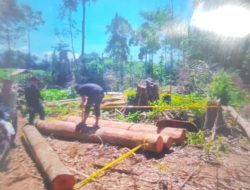 Illegal logging “Marak” di Hutan Jantho Masyarakat Minta APH Tindak Pelaku