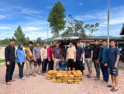 Satu Tersangka Dibekuk, Polres Gayo Lues Sita 92 Kg Ganja Siap Edar