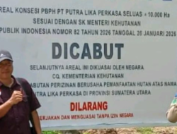 Izin Dicabut, Satgasus PKH Pasang Plank 3 Perusahaan di Labusel