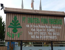 DPRD Ogan Olir Desak Tindak Isu TKA Cina di PT SPF