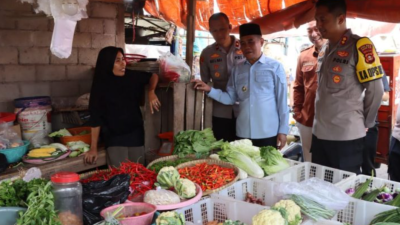 Wabup Ogan Ilir Cek Ketersediaan Harga Bahan Pokok Pasar Indralaya