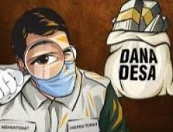 Keuchik Blang Kiree Terancam Diproses Hukum, Audit Inspektorat Temukan Dugaan Kerugian Dana Desa Rp234 Juta