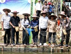 Bupati Murung Raya Hadiri Panen Raya Ikan Nila Pokdakan Pakat Sasama, Dorong Pengembangan Sektor Perikanan