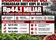 TTI Minta Pengadaan Bibit Kopi Rp44,1 Miliar di Aceh Diaudit dan Ditelusuri