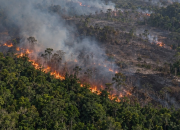 Titik Hotspot Kebakaran Hutan Indonesia di Kalimantan Tengah dan Sumatera Selatan