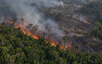 Titik Hotspot Kebakaran Hutan Indonesia di Kalimantan Tengah dan Sumatera Selatan