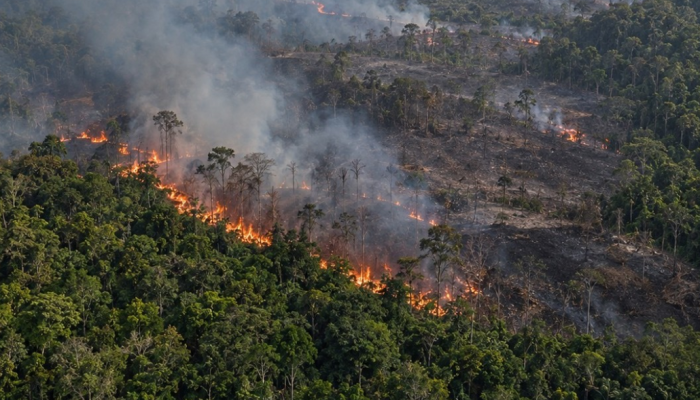 Titik Hotspot Kebakaran Hutan Indonesia di Kalimantan Tengah dan Sumatera Selatan